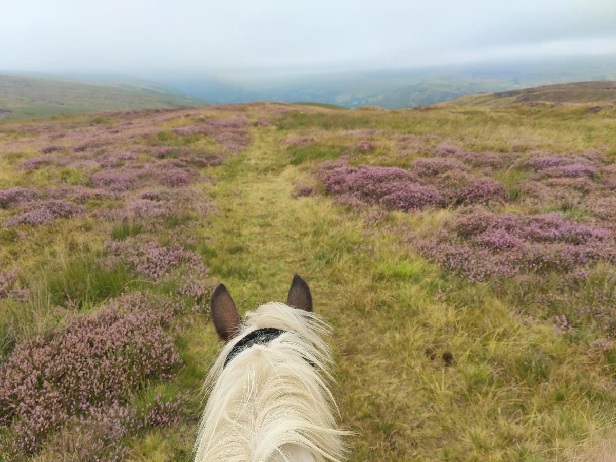 Hotel Pentre Riding Stables Abercraf Exteriér fotografie