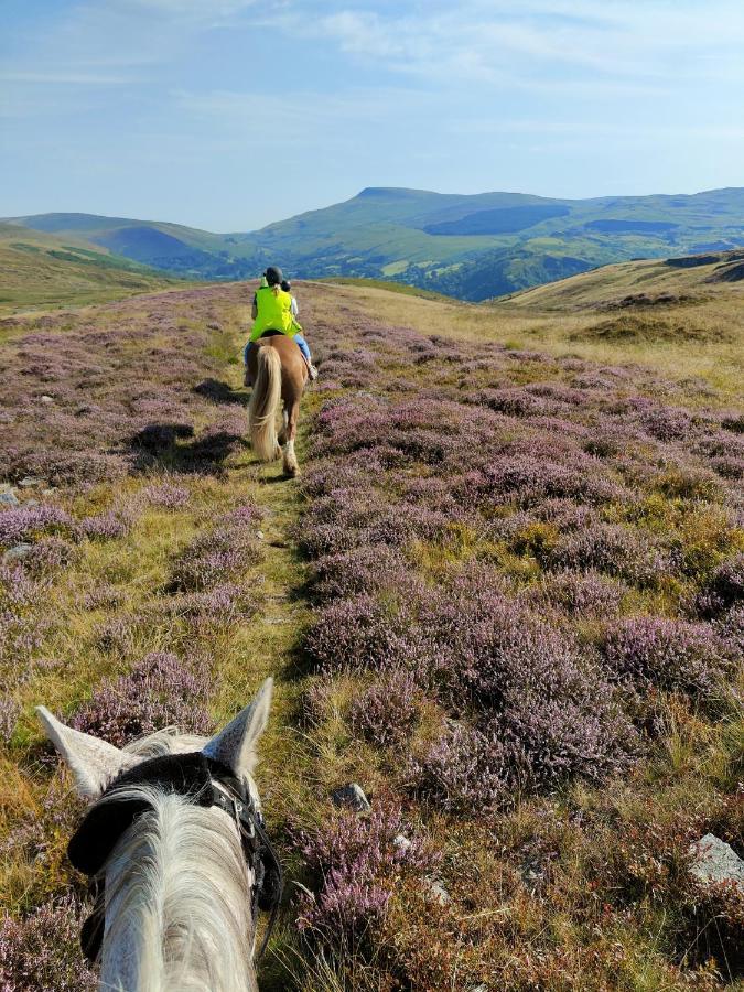 Hotel Pentre Riding Stables Abercraf Exteriér fotografie