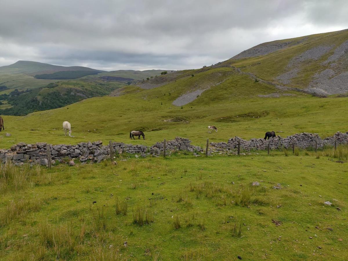 Hotel Pentre Riding Stables Abercraf Exteriér fotografie