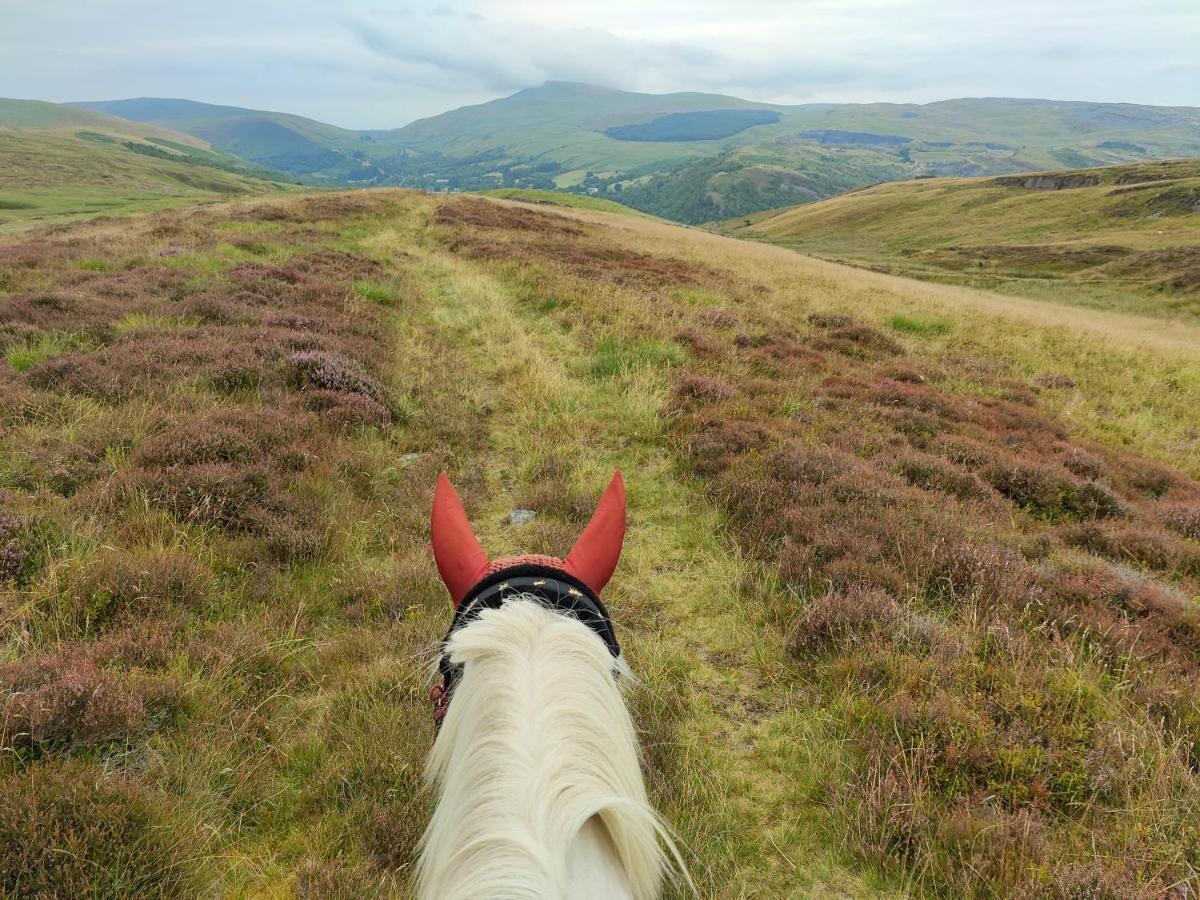 Hotel Pentre Riding Stables Abercraf Exteriér fotografie